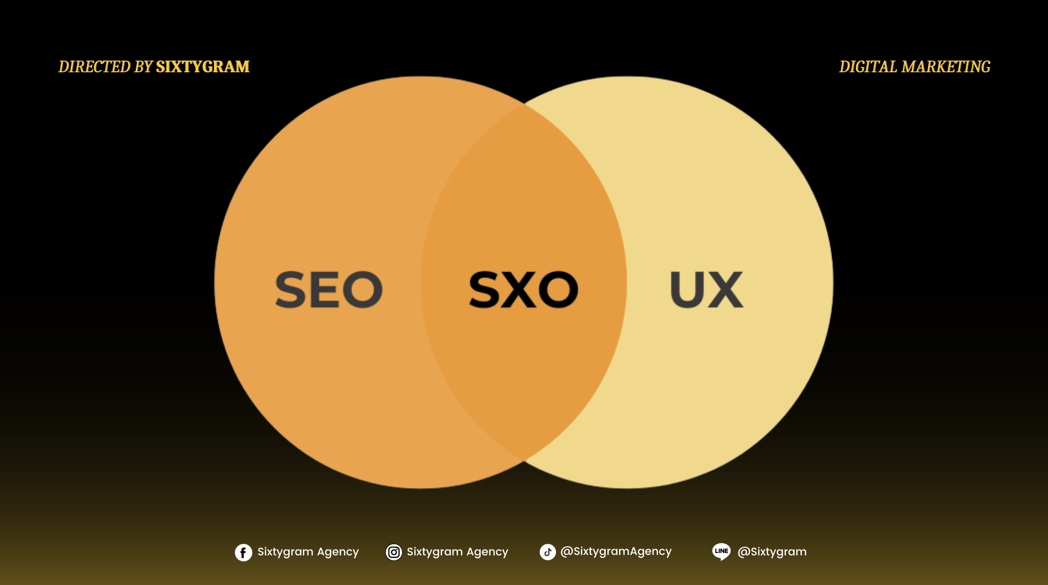 SXO คืออะไร?