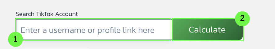 1. Enter a TikTok Username