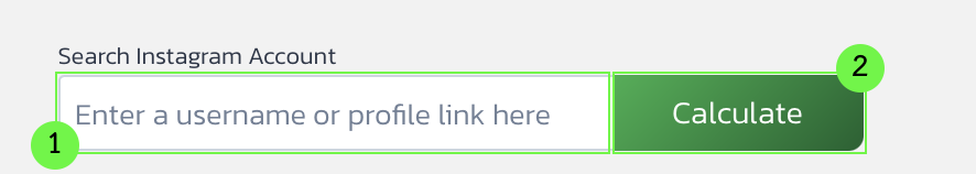 1. Enter an Instagram Username or Profile Link